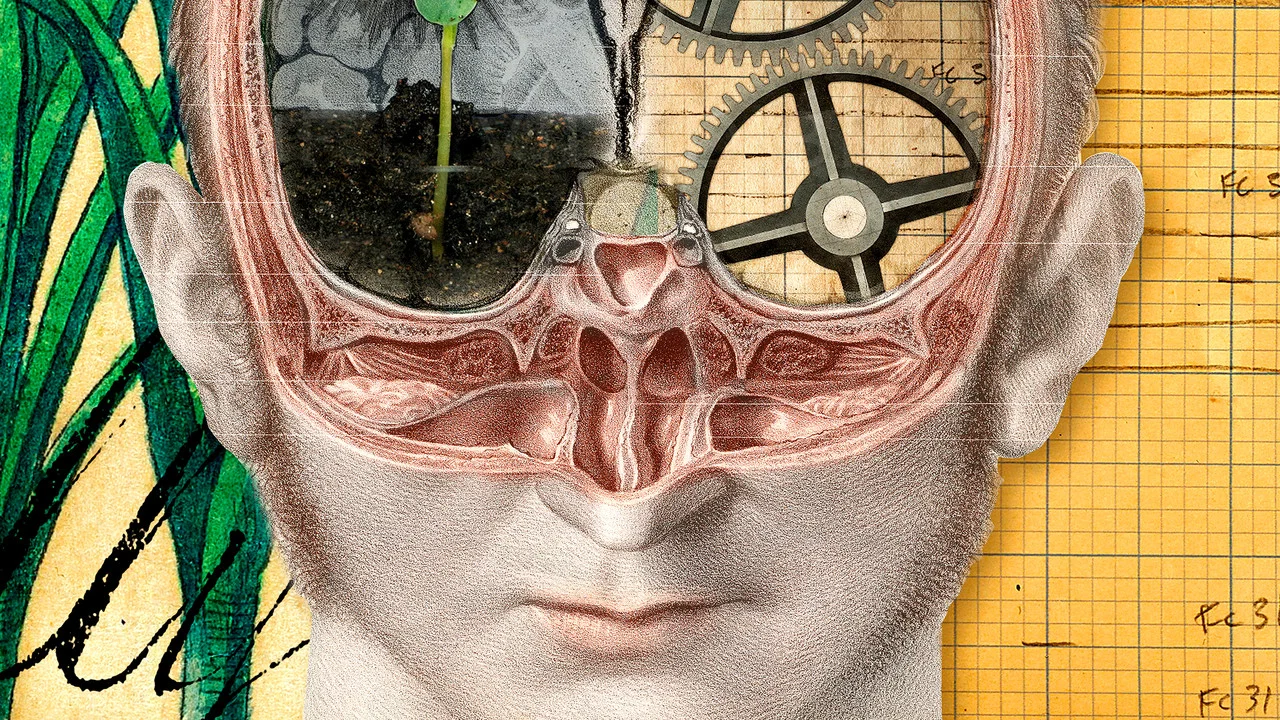 The Divided Brain - 剧照
