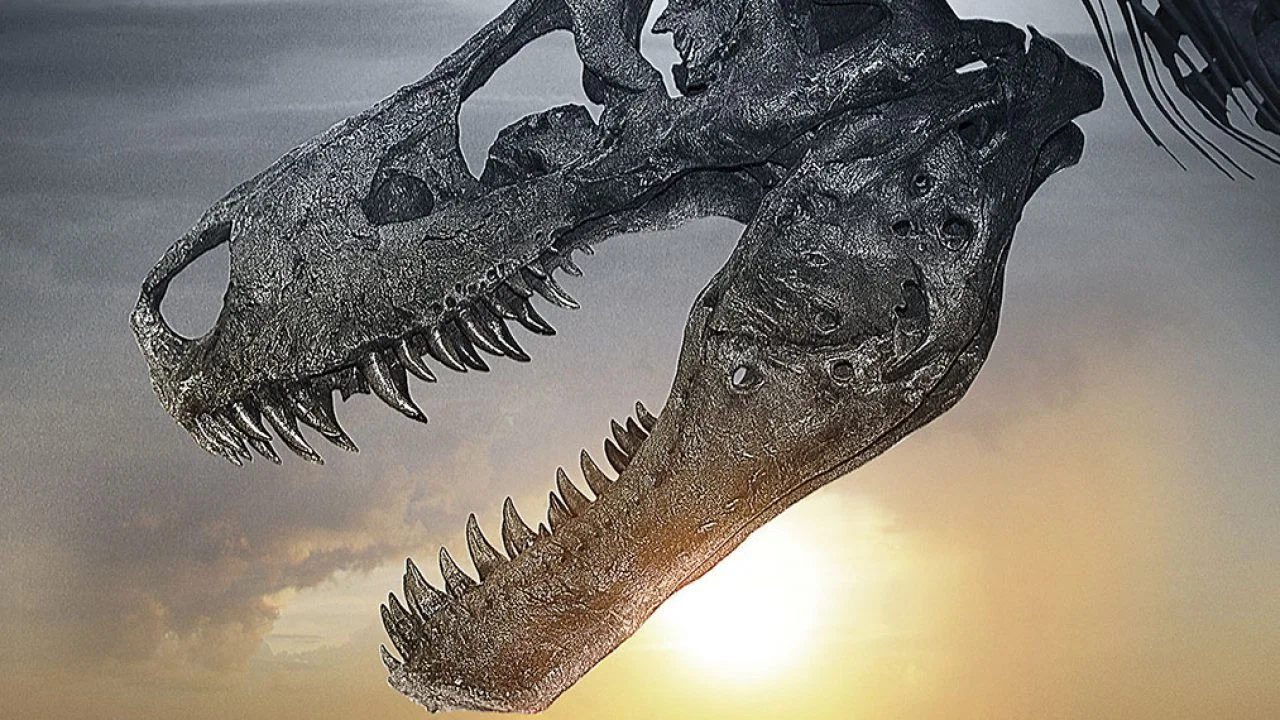 Dinosaur 13 - 剧照
