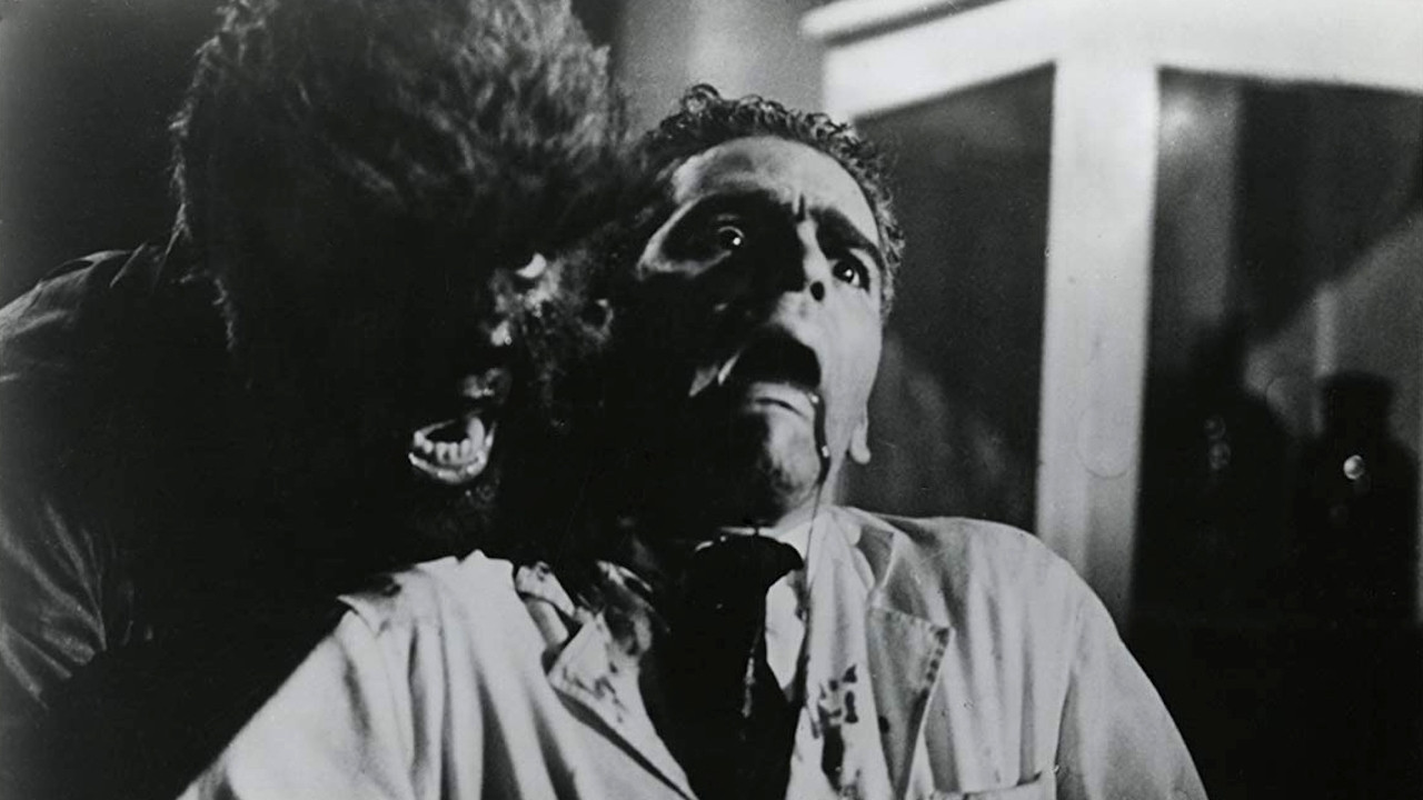 Face of the Screaming Werewolf - 剧照