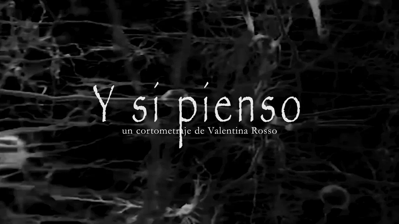 Y si pienso - 剧照