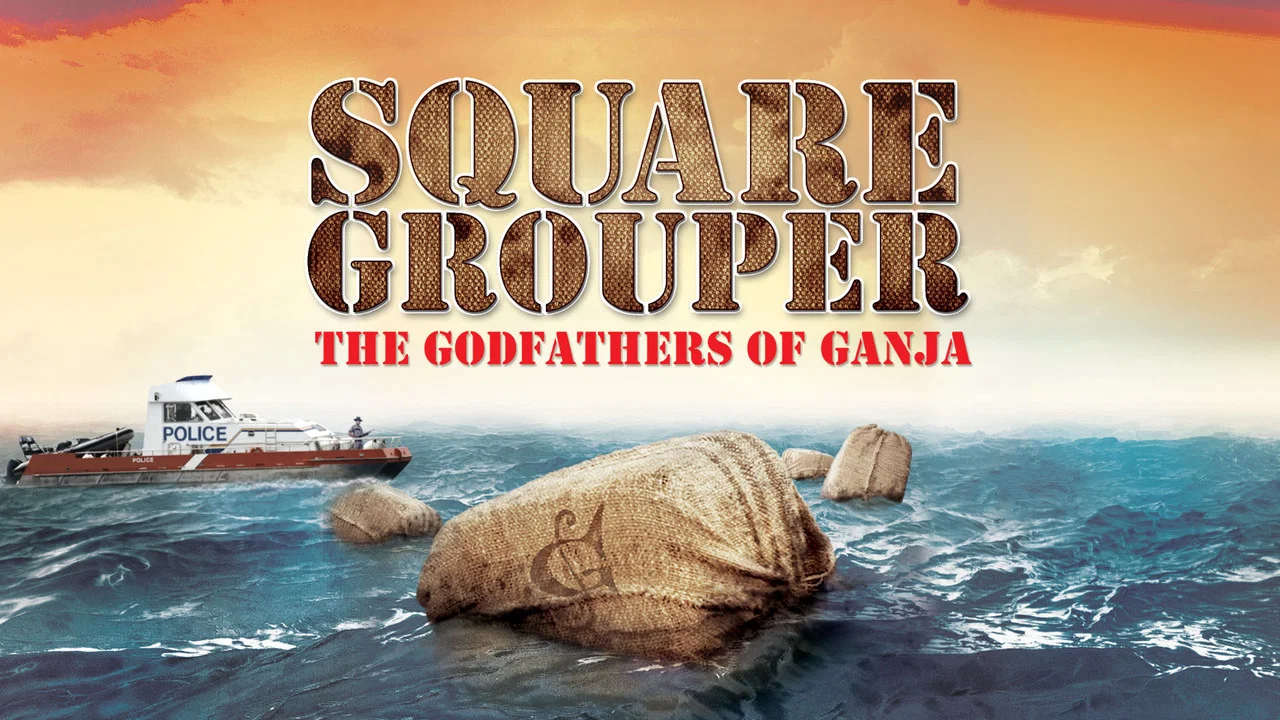 Square Grouper - 剧照