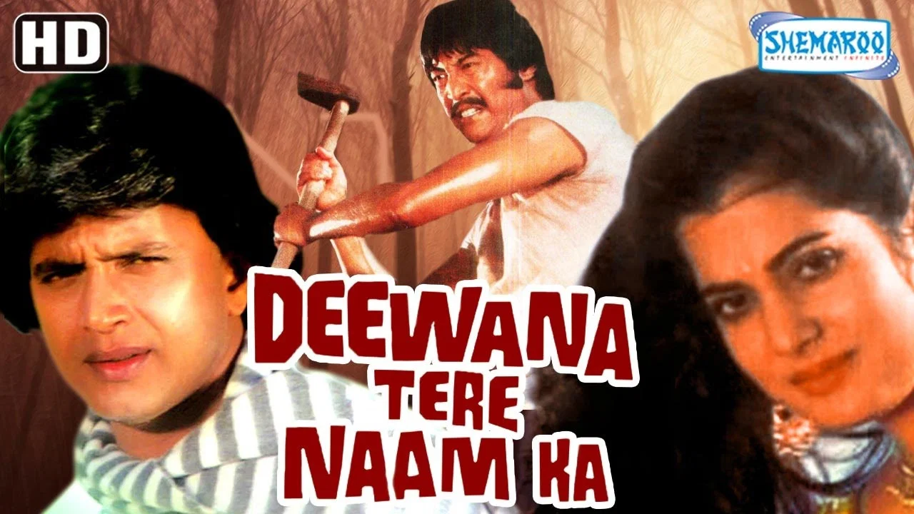 Deewana Tere Naam Ka - 剧照