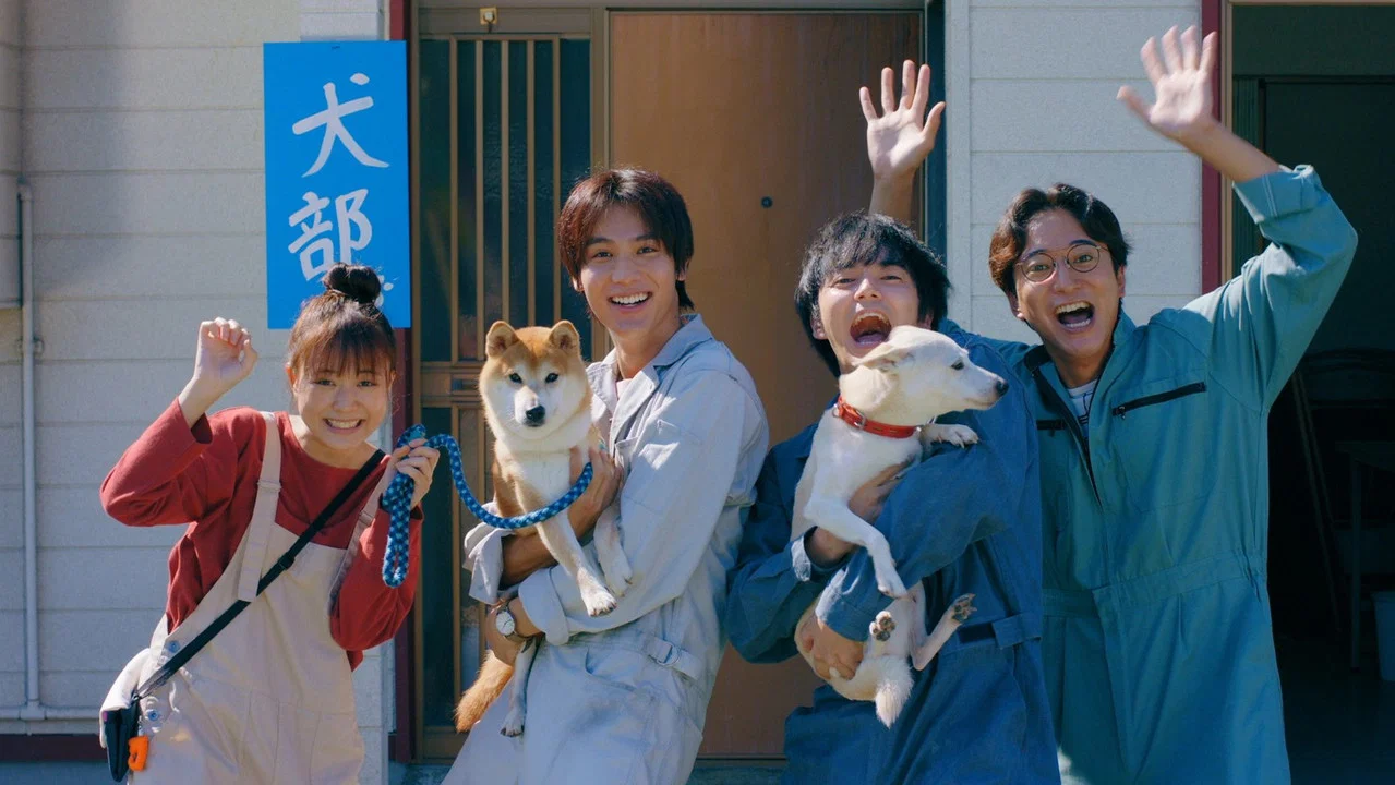 犬部！ - 剧照