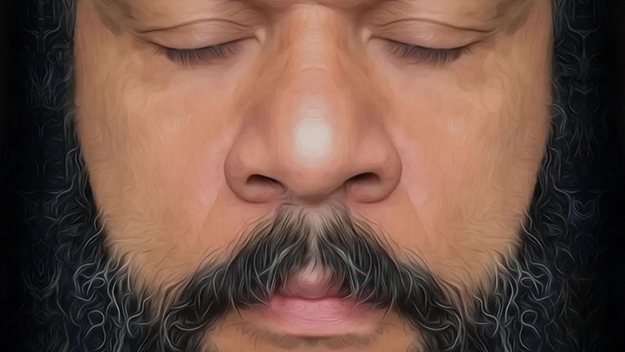 Dieudonn&eacute; - La Politique - 剧照