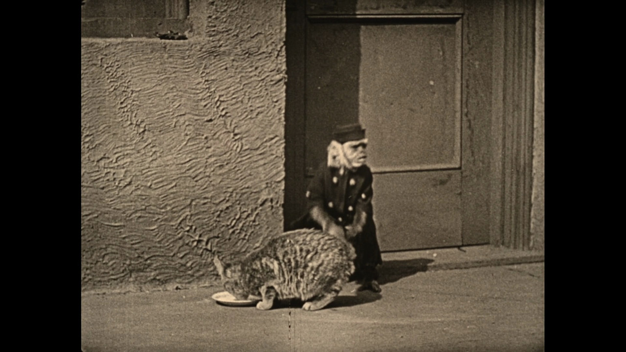 Wonder Dogs! Canine Stars of the Silent Era (1898-1928) - 剧照