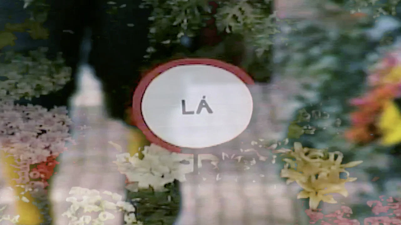Elas v&ecirc;m de L&Aacute; - 剧照
