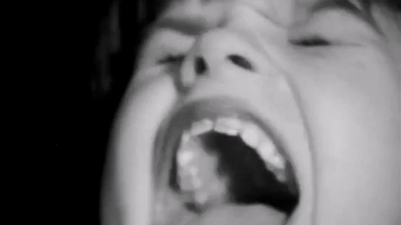 The Scary Movie - 剧照