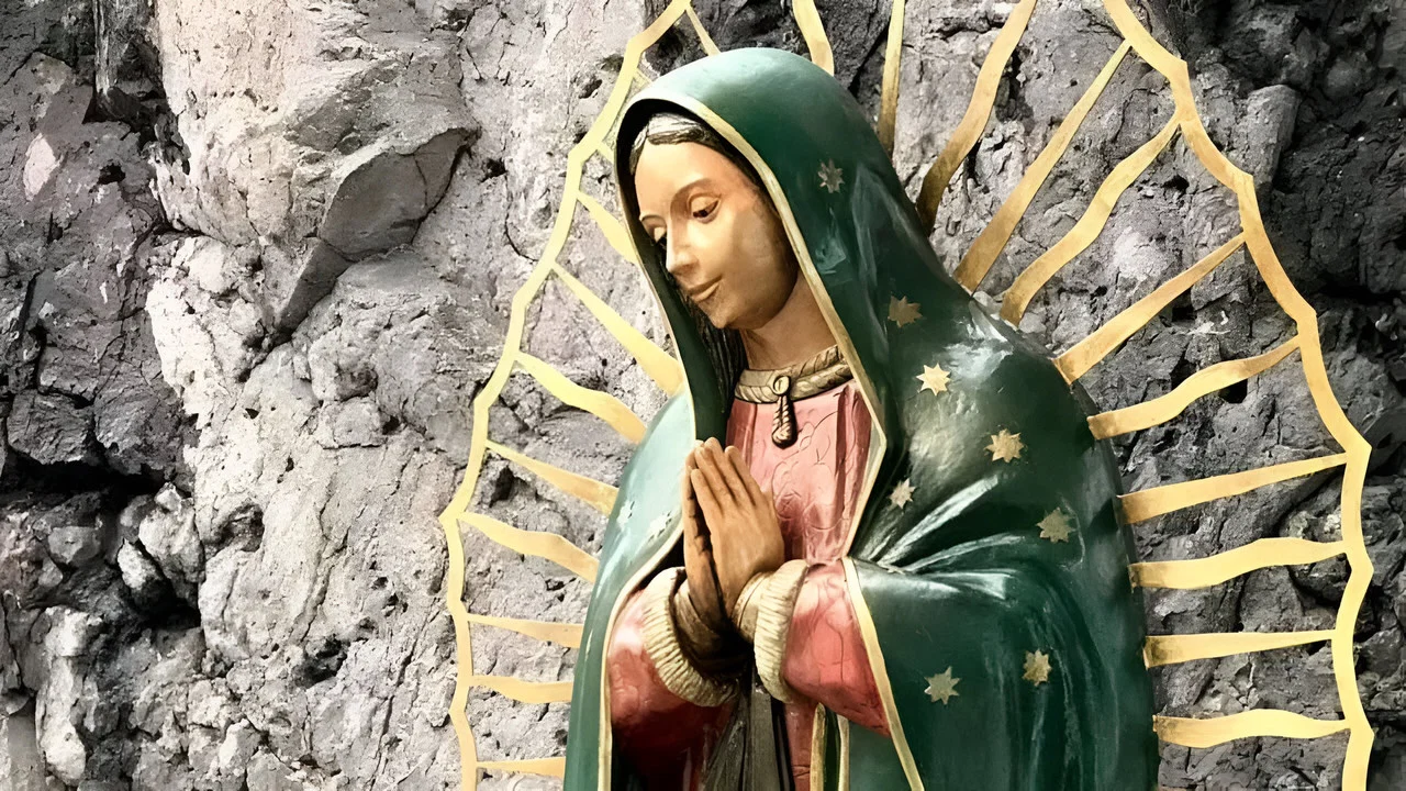 Lady of Guadalupe - 剧照