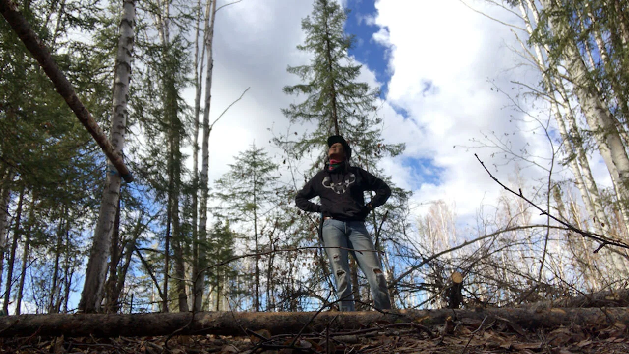 K'i Tah Amongst the Birch - 剧照