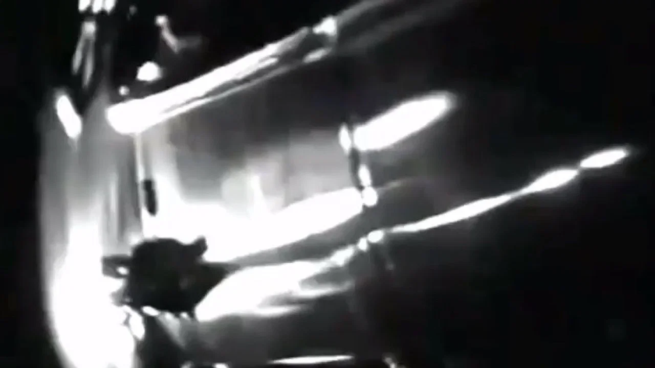 Herbie - 剧照