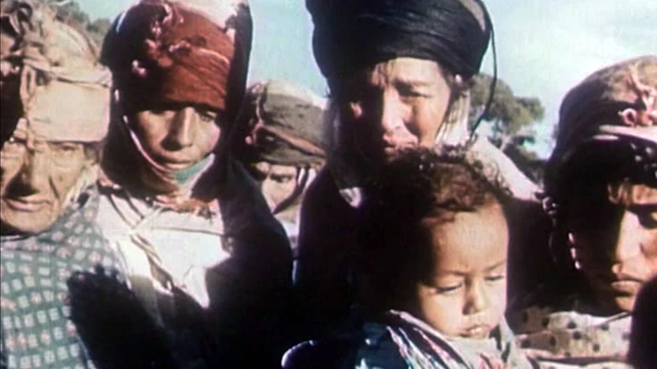 Alg&eacute;rie en flammes - 剧照