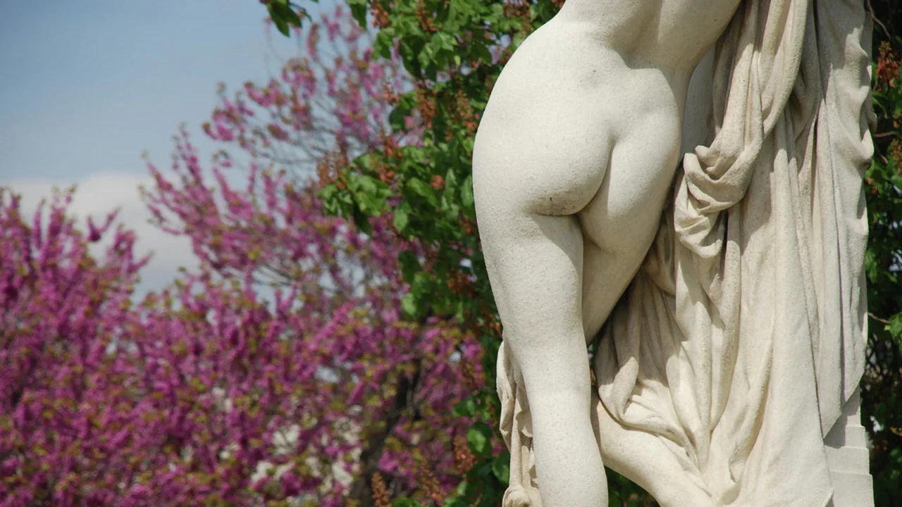 L'art du derri&egrave;re, une folle histoire des fesses - 剧照