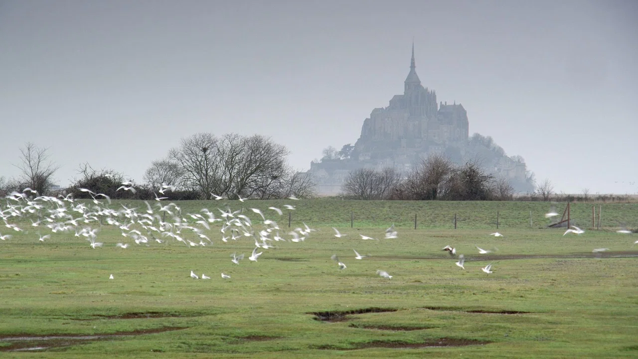 Mont Saint-Michel : le labyrinthe de l&rsquo;archange - 剧照