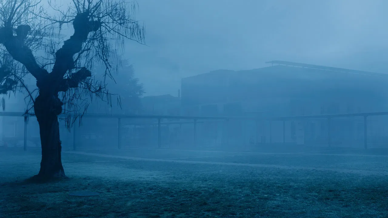 精神病院12天 - 剧照