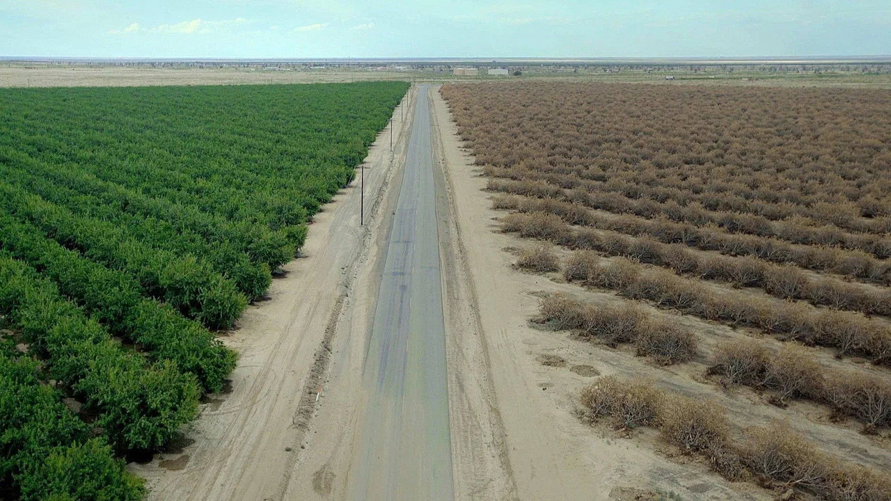 Water & Power: A California Heist - 剧照