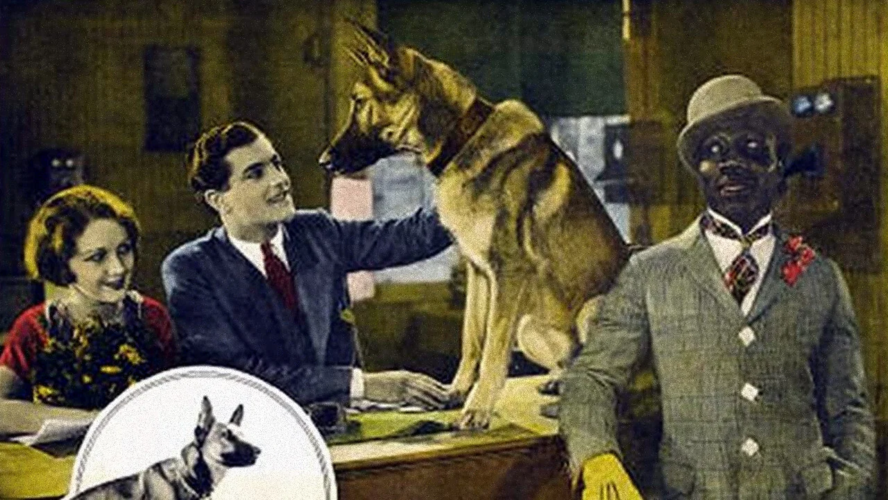 The Outlaw Dog - 剧照