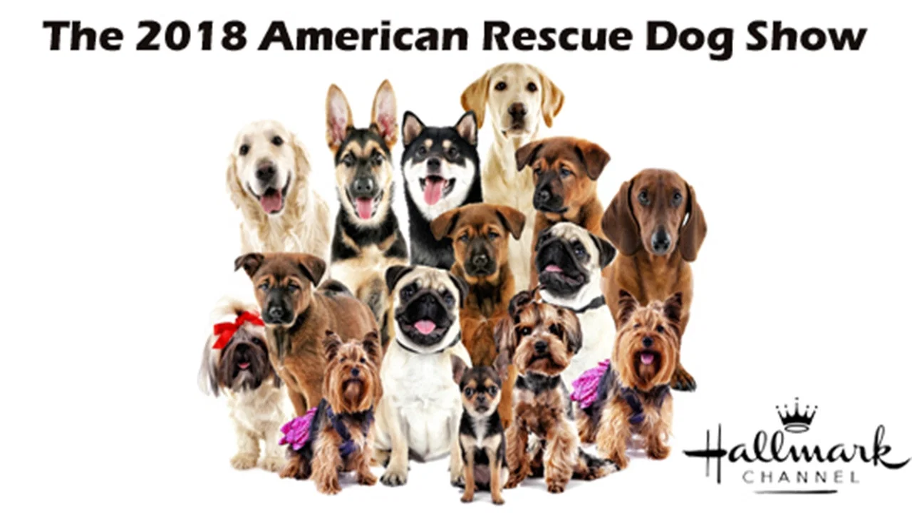 The 2018 American Rescue Dog Show - 剧照