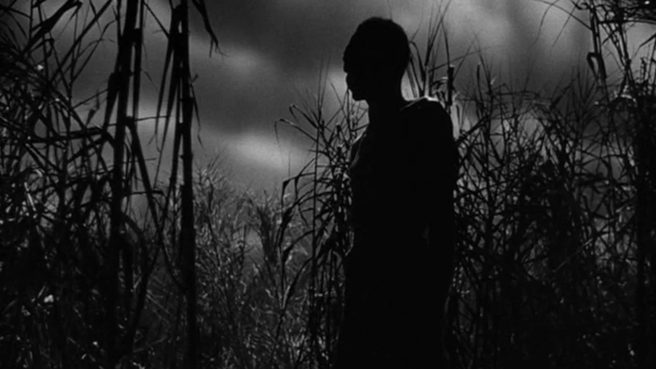 Shadows in the Dark: The Val Lewton Legacy - 剧照