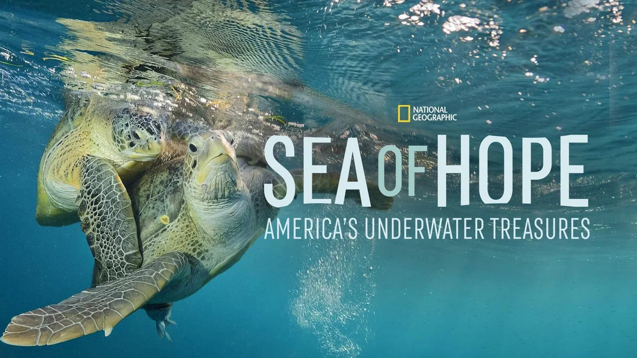 Sea of Hope: America's Underwater Treasures - 剧照