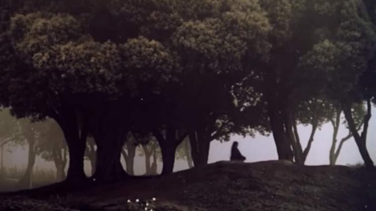 Los murmullos - 剧照