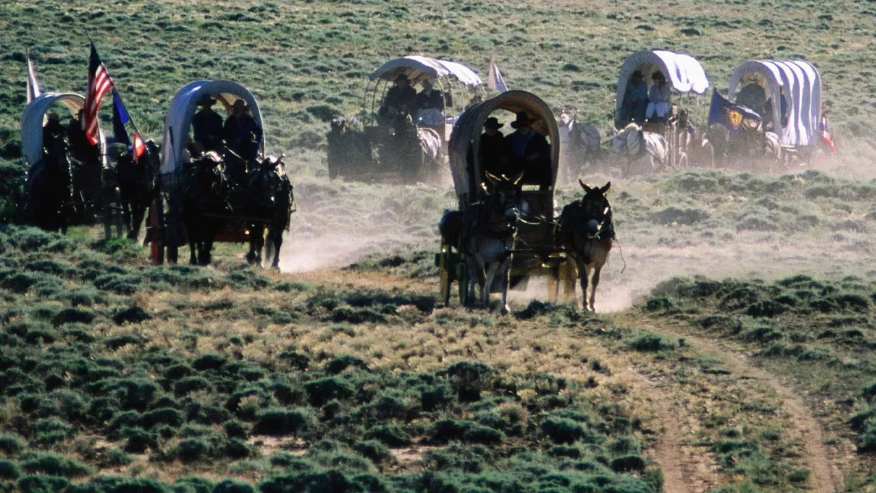 Les Mormons : Qui sont-ils vraiment ? - 剧照