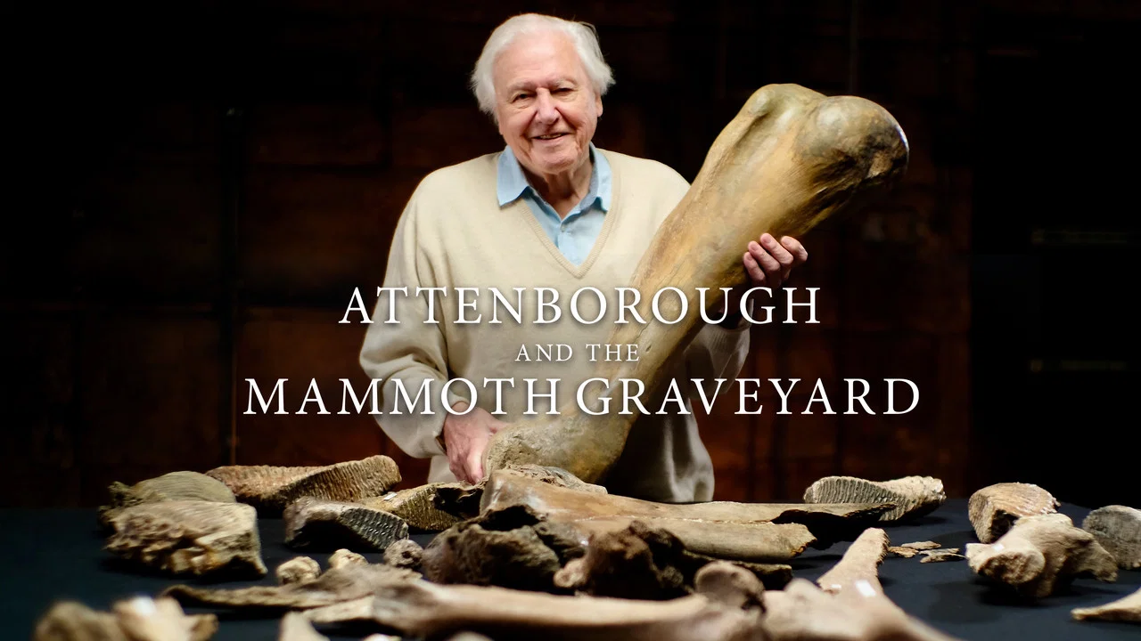 Attenborough and the Mammoth Graveyard - 剧照