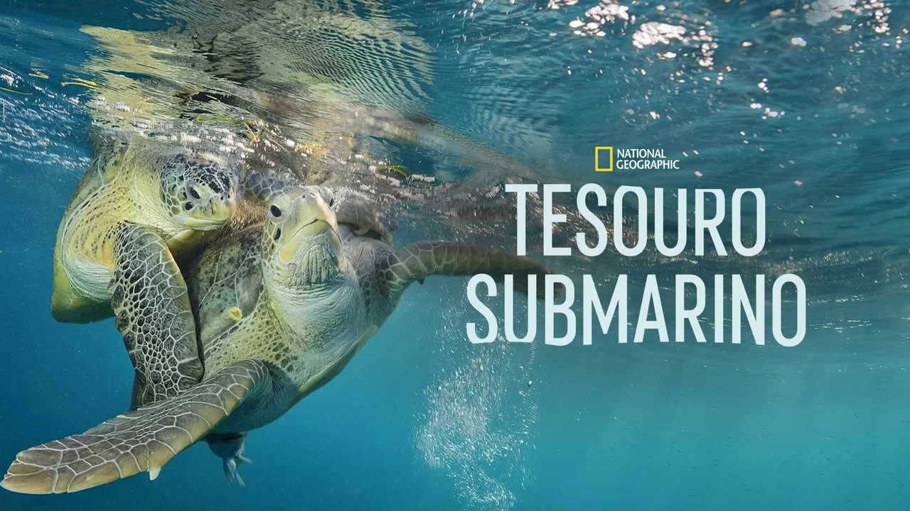 Sea of Hope: America's Underwater Treasures - 剧照