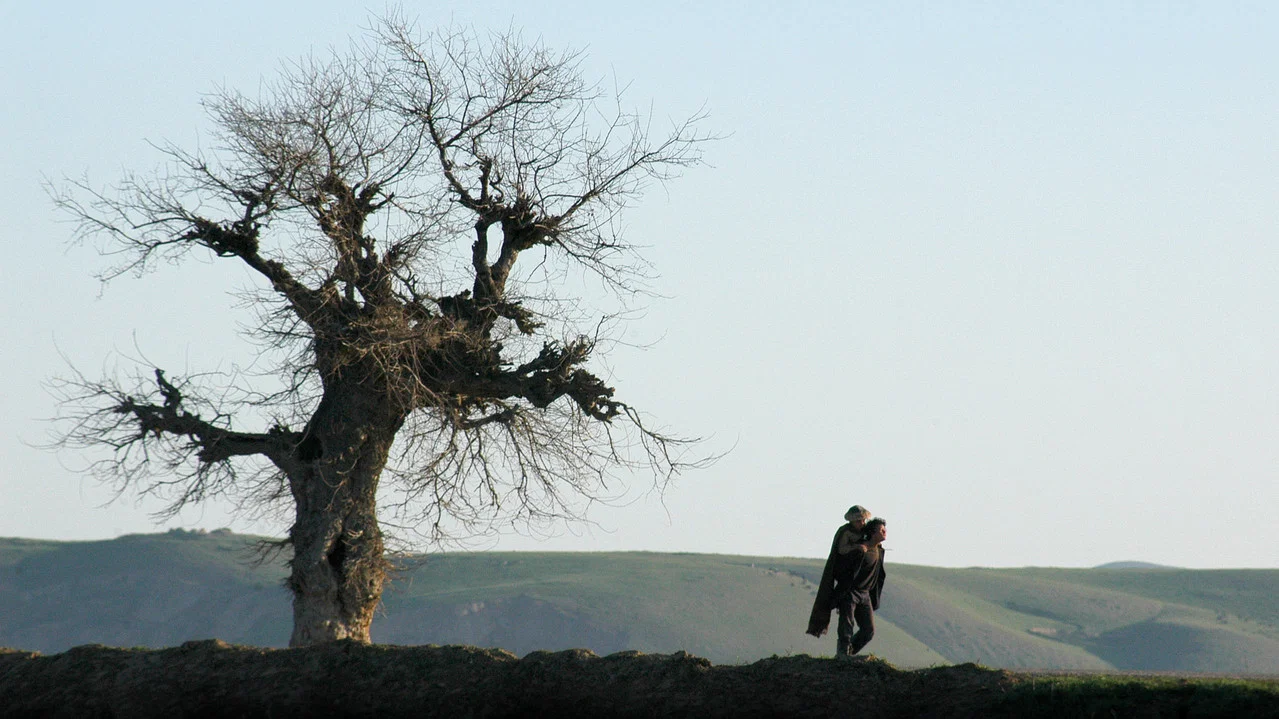 背马鞍的男孩 - 剧照