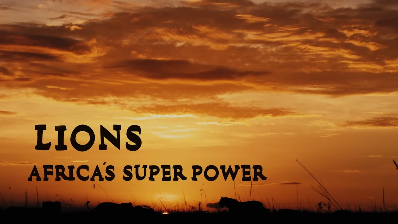 Lions: Africa's Super Power - 剧照