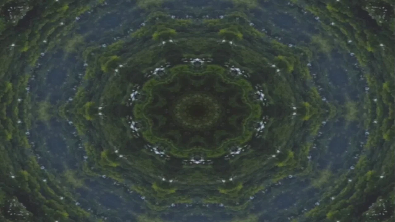 Fleshworm Dreams - 剧照