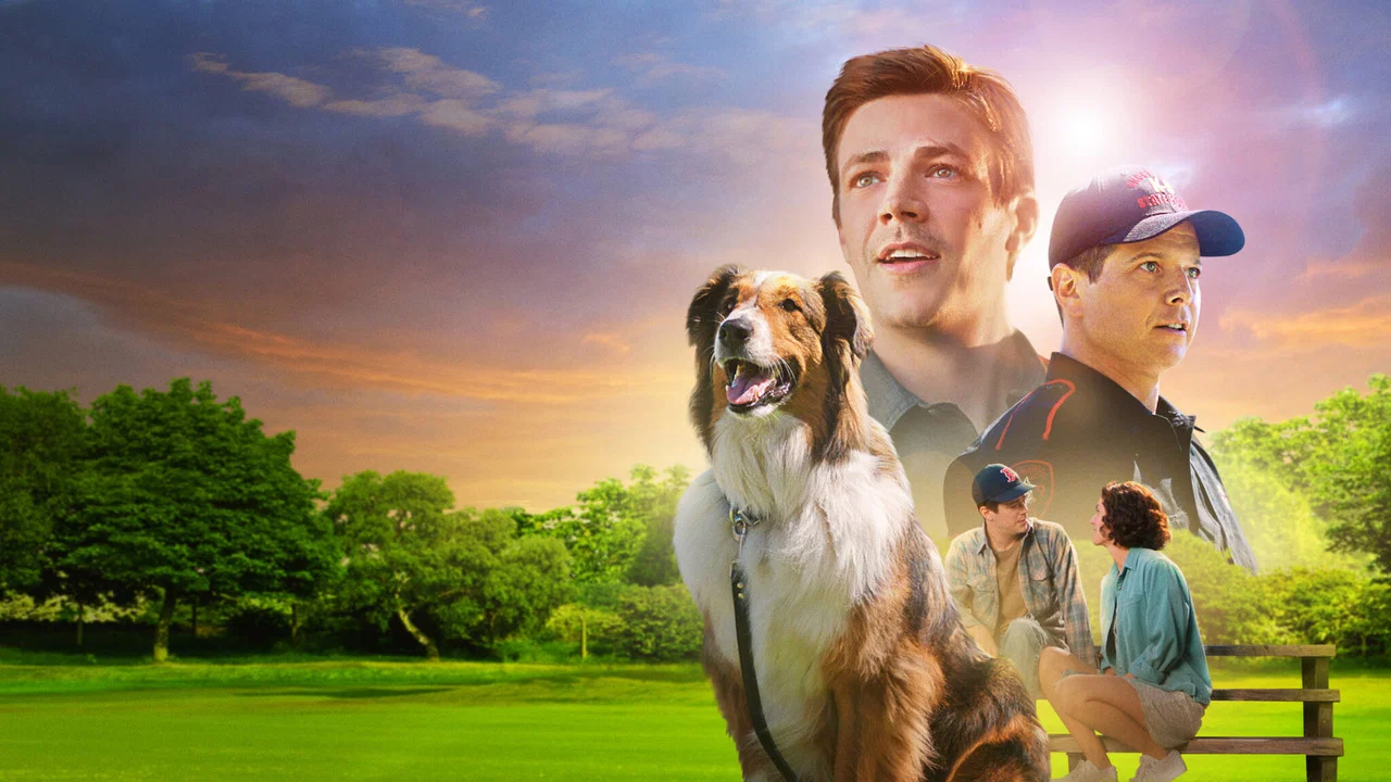 义犬救主 - 剧照