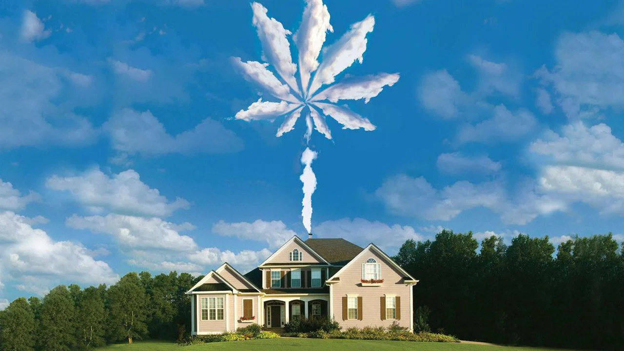 我家种大麻 - 剧照
