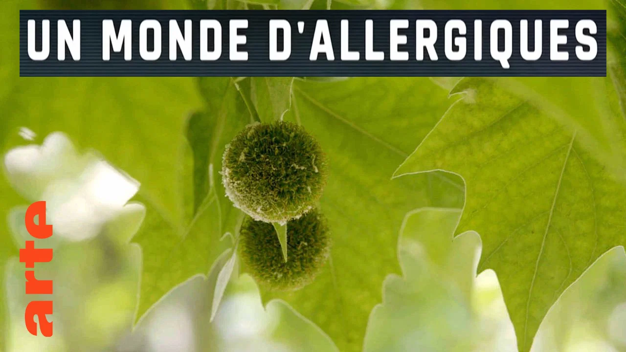 Un monde d'allergiques - 剧照
