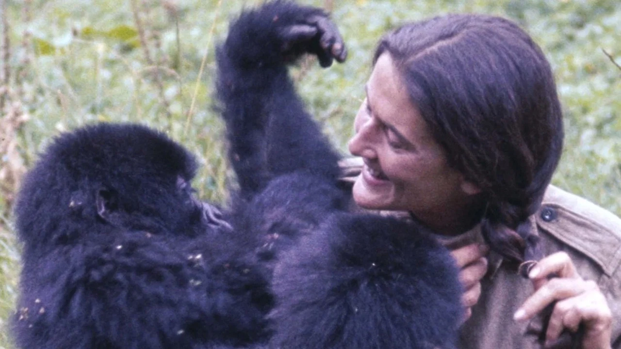 Dian Fossey: Ihr Leben f&uuml;r die Gorillas - 剧照