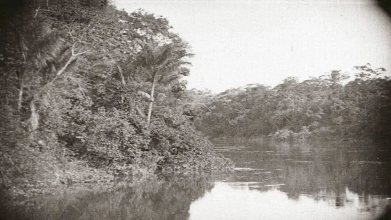 Amazonas, o Maior Rio do Mundo - 剧照