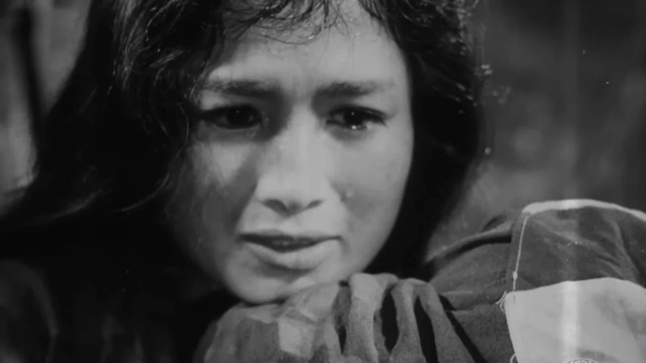 Vĩ tuyến 17 ng&agrave;y v&agrave; đ&ecirc;m - 剧照
