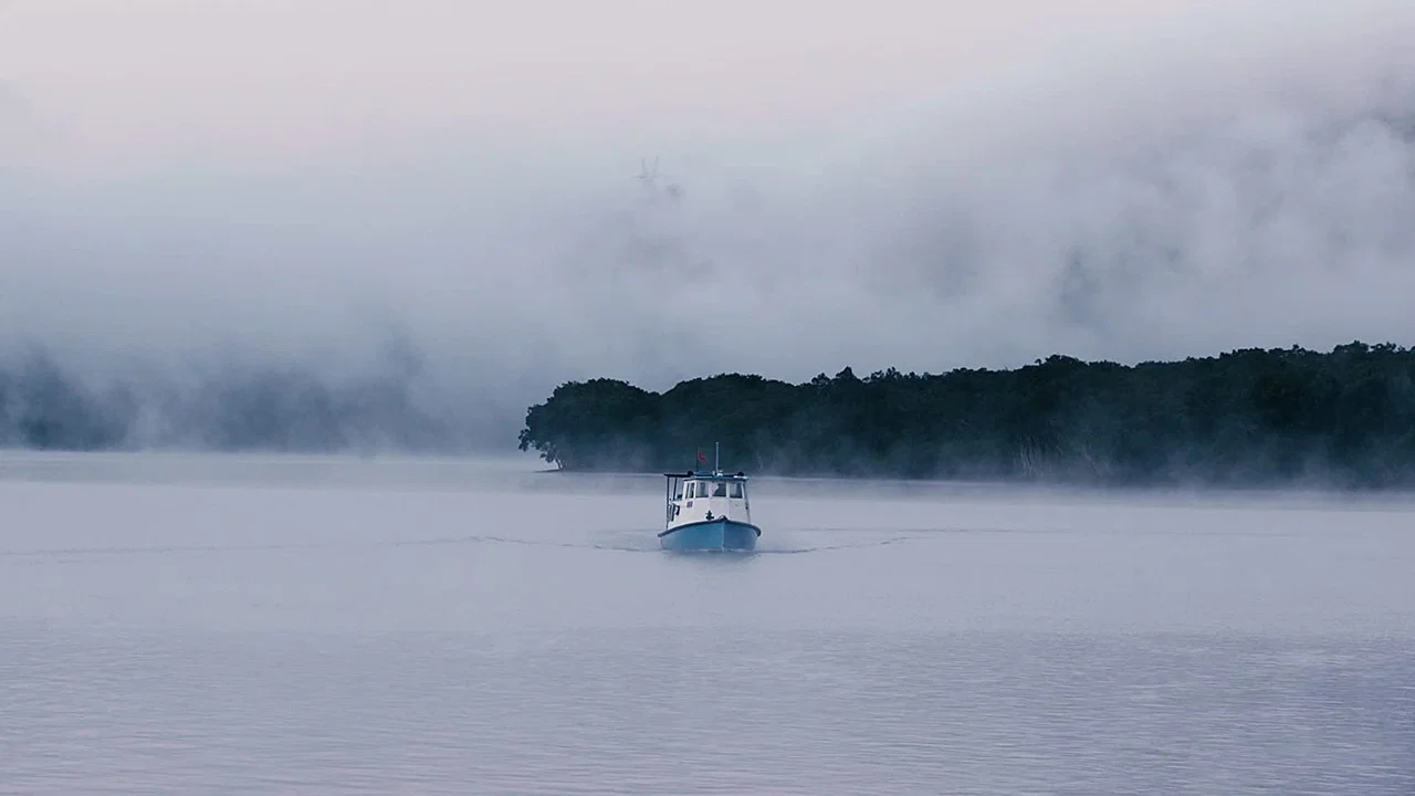 The Screaming Silent - 剧照