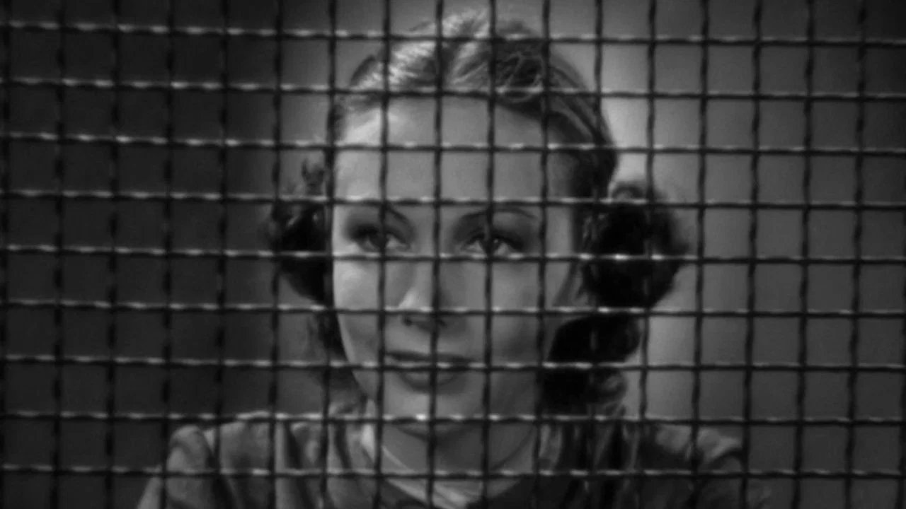 Woman Against the World - 剧照