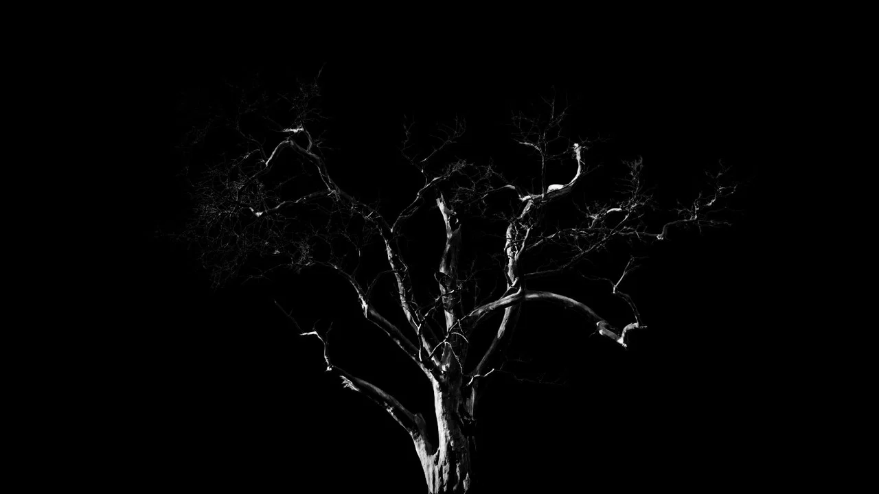 Dreams, Confessions and The End Of The World - 剧照