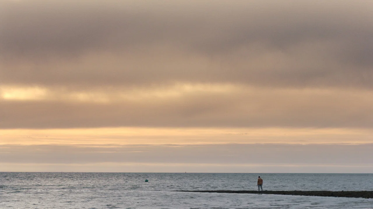 Sharks in Colwyn Bay - 剧照
