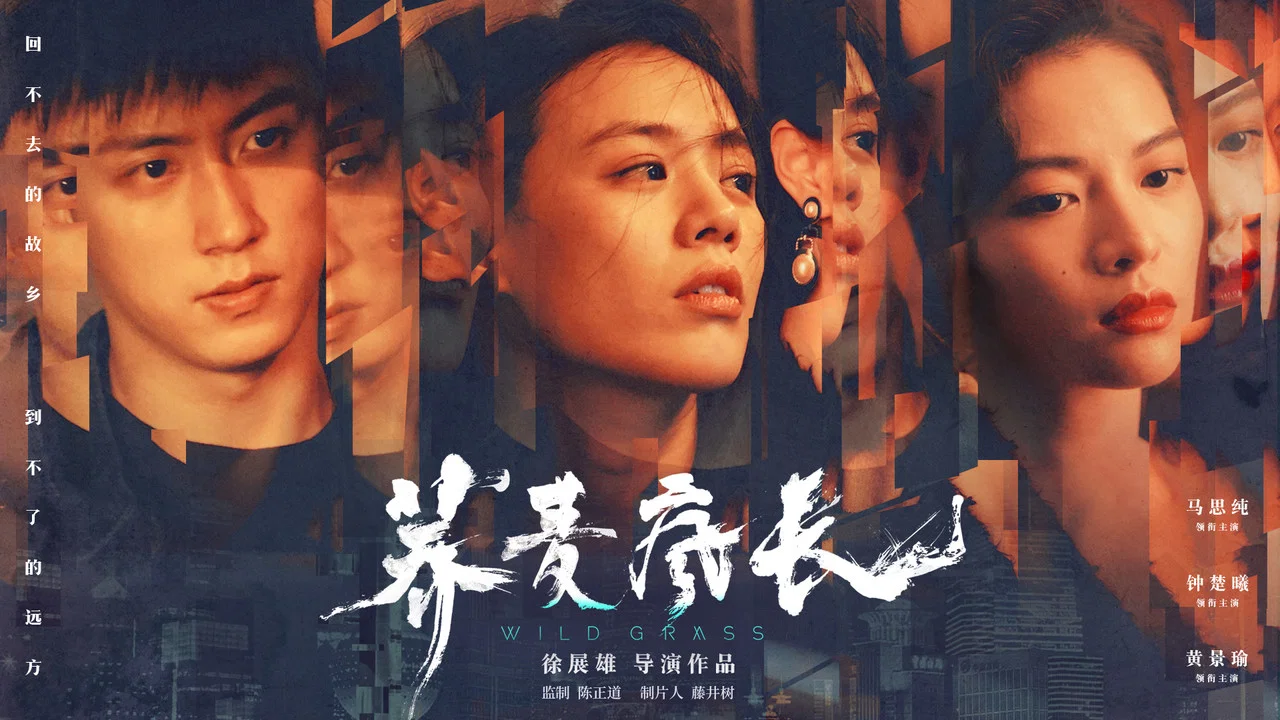 荞麦疯长 - 剧照