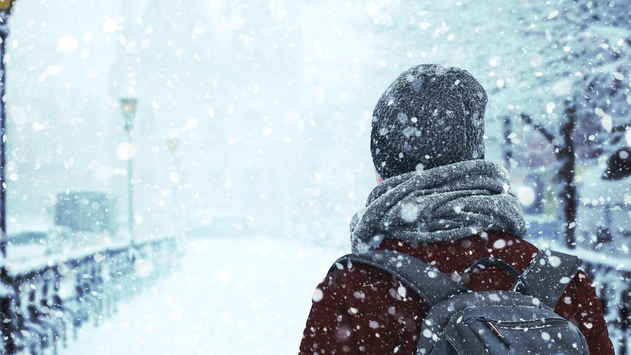 Beast From The East: The Big Freeze Of 2018 - 剧照