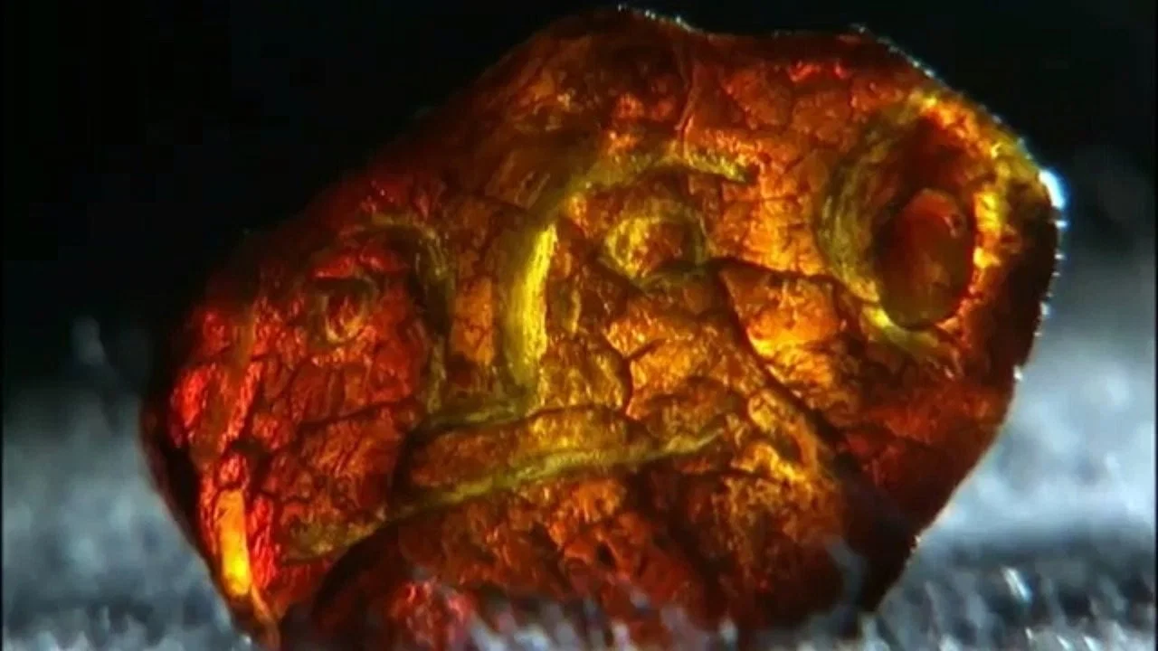 Terra X - Die Bernsteinstra&szlig;e - 剧照