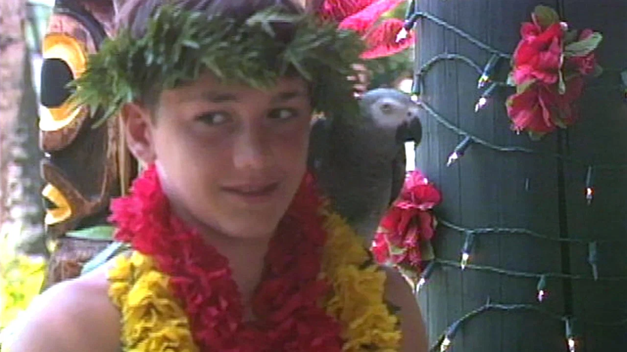 Iki Haole: Nico's Hawaiian Adventure - 剧照