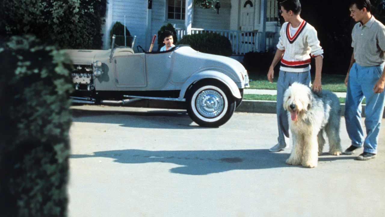 The Shaggy Dog - 剧照
