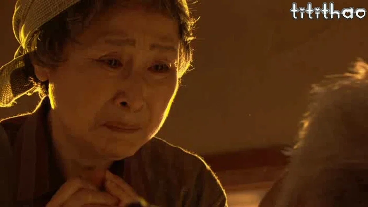 島根の弁護士 - 剧照