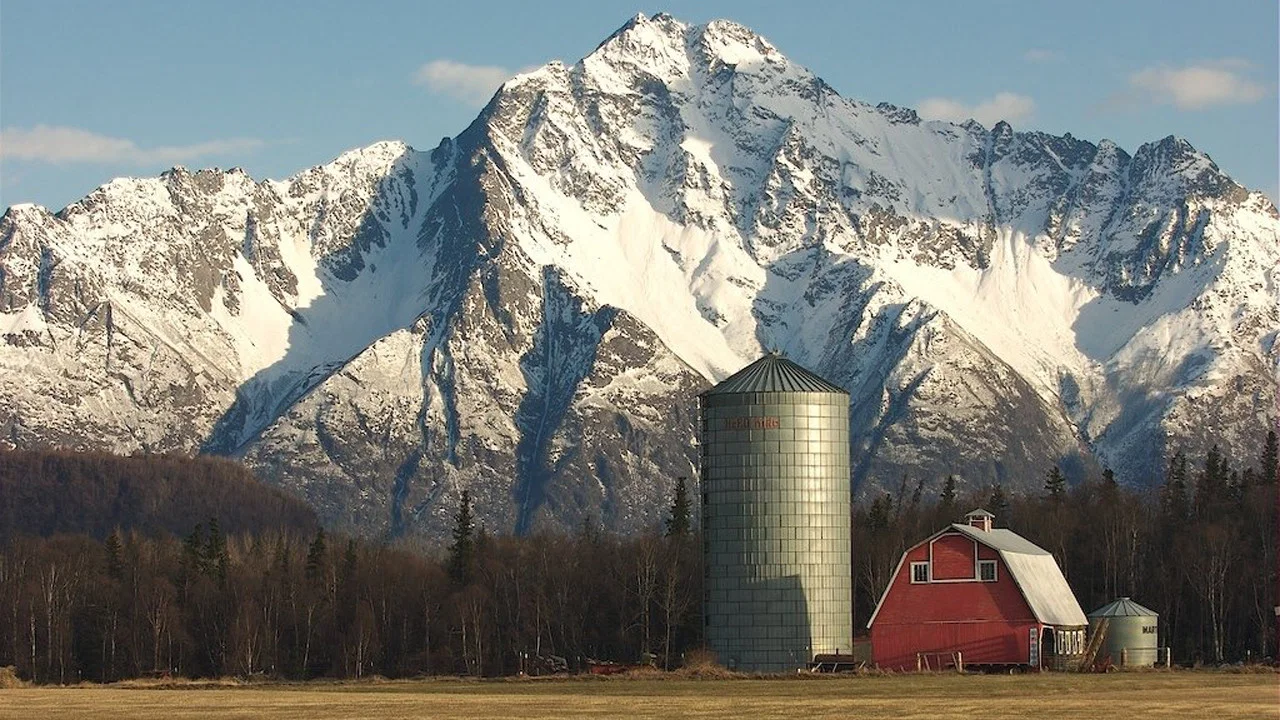 Alaska Far Away - 剧照