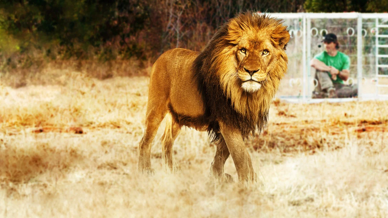 Man V. Lion - 剧照