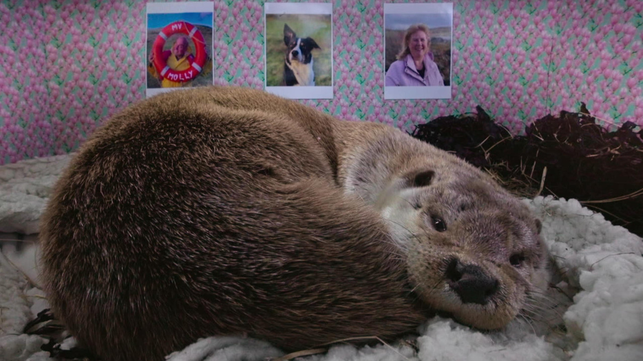 Billy & Molly: An Otter Love Story - 剧照
