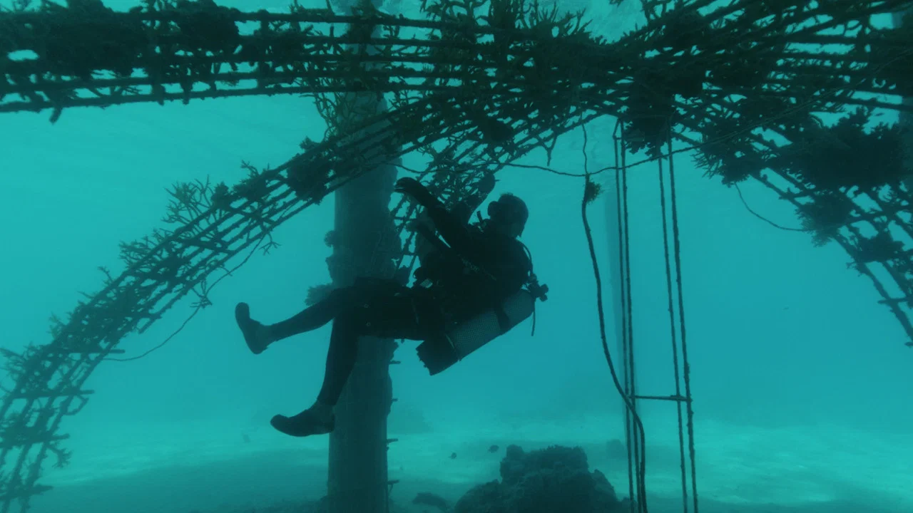 Bora Bora, le laboratoire du futur - 剧照